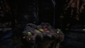 433.jpg