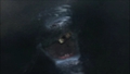 408.jpg