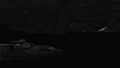 479.jpg